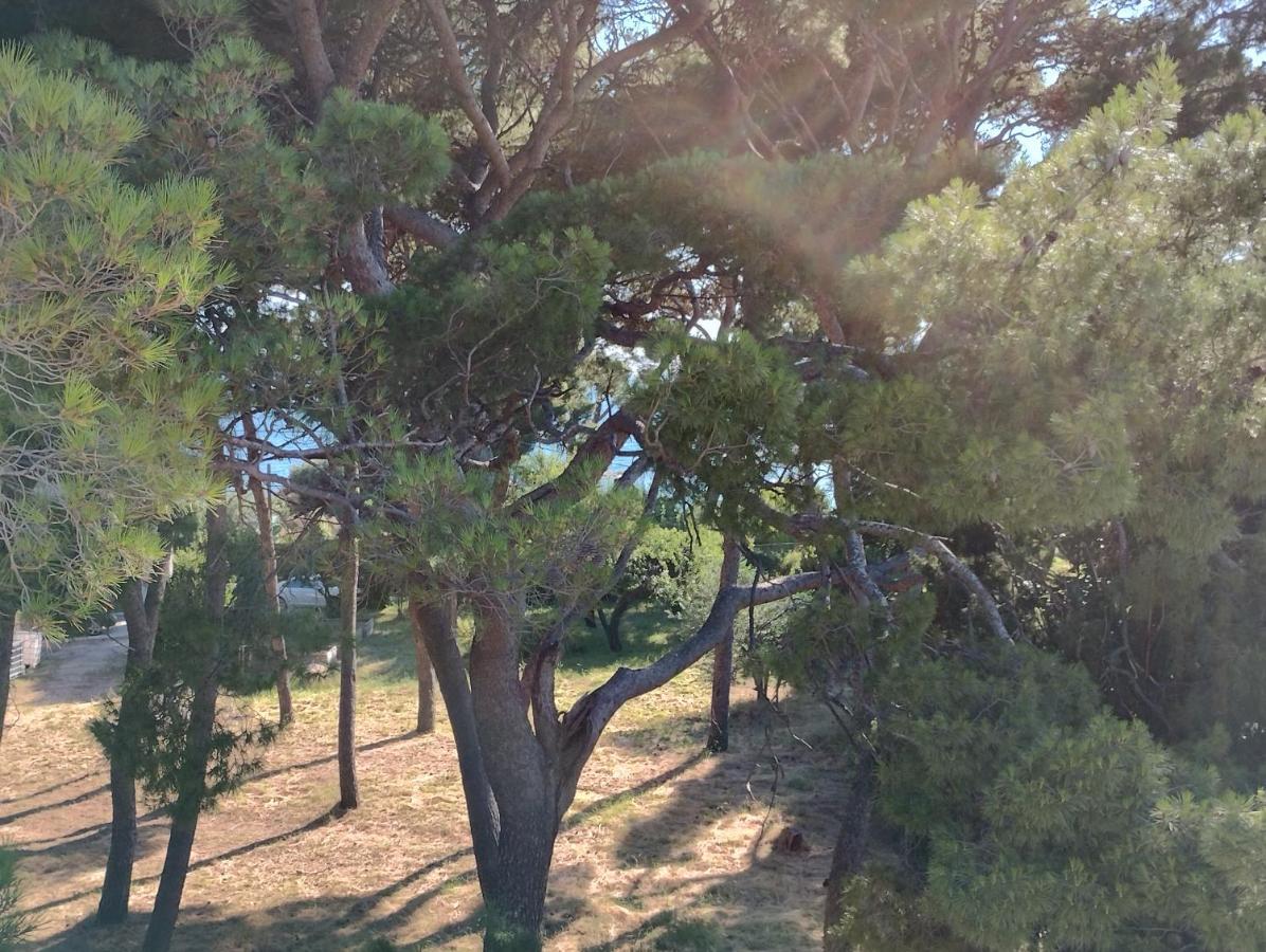 Old Captain'S Apartments - In A Pine Wood By The Sea And Tennis Courts Split Exterior foto